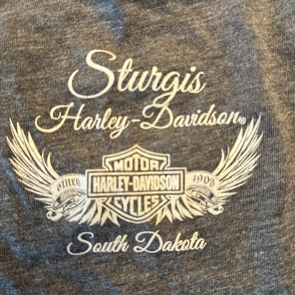 Harley-Davidson Sturgis t-shirt size medium - Picture 4 of 9